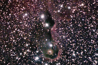 IC1396